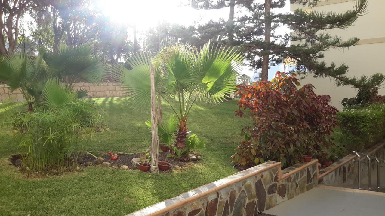 Lovely 1-Bedroom Apartment With A Big Terrace, Las Americas, Tenerife อาโรนา ภายนอก รูปภาพ