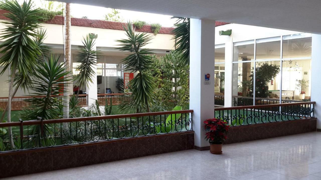 Lovely 1-Bedroom Apartment With A Big Terrace, Las Americas, Tenerife อาโรนา ภายนอก รูปภาพ